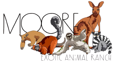 Moore Exotic Animal Ranch