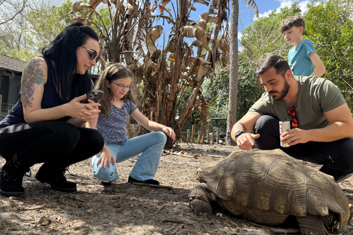 Group observing a tortoise outdoors, with trees in the background.