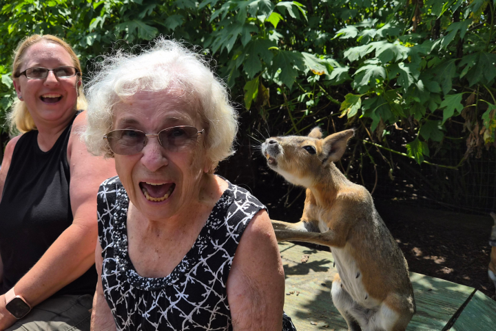Elderly woman smiling with a capybara and people in the background.