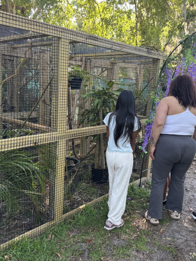 Three people looking into a wooden plant enclosure outdoors.