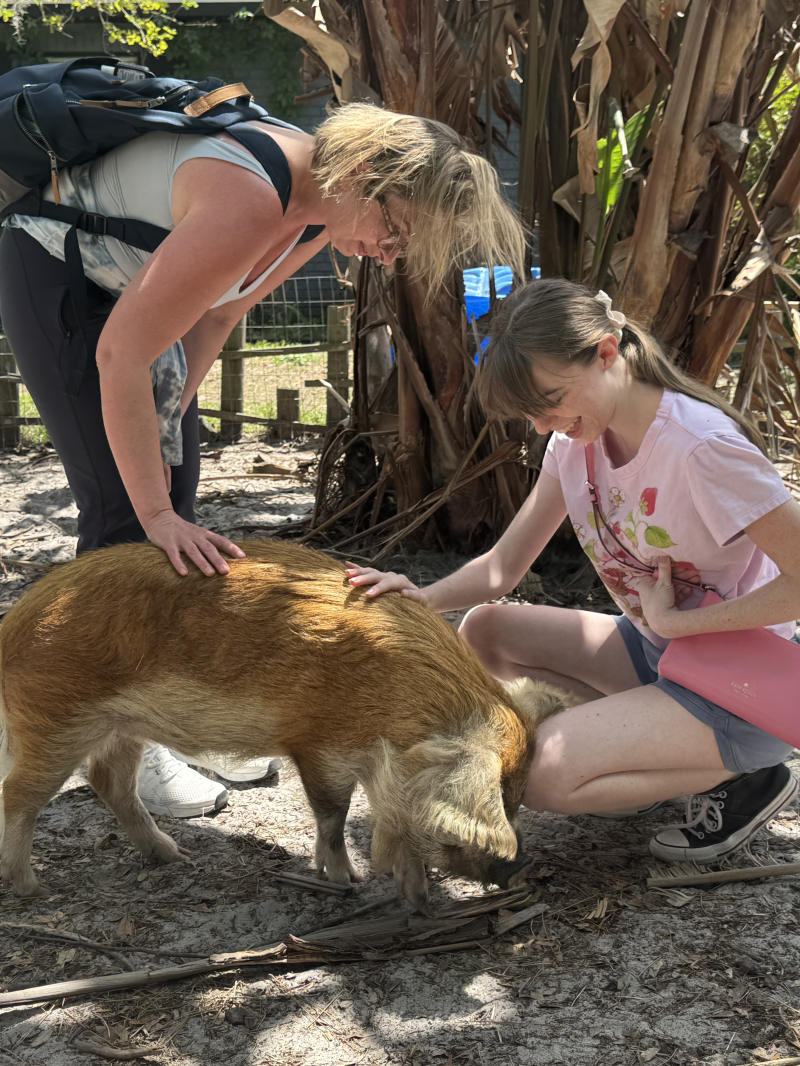 Two people petting a small brown pig outdoors near a tree.